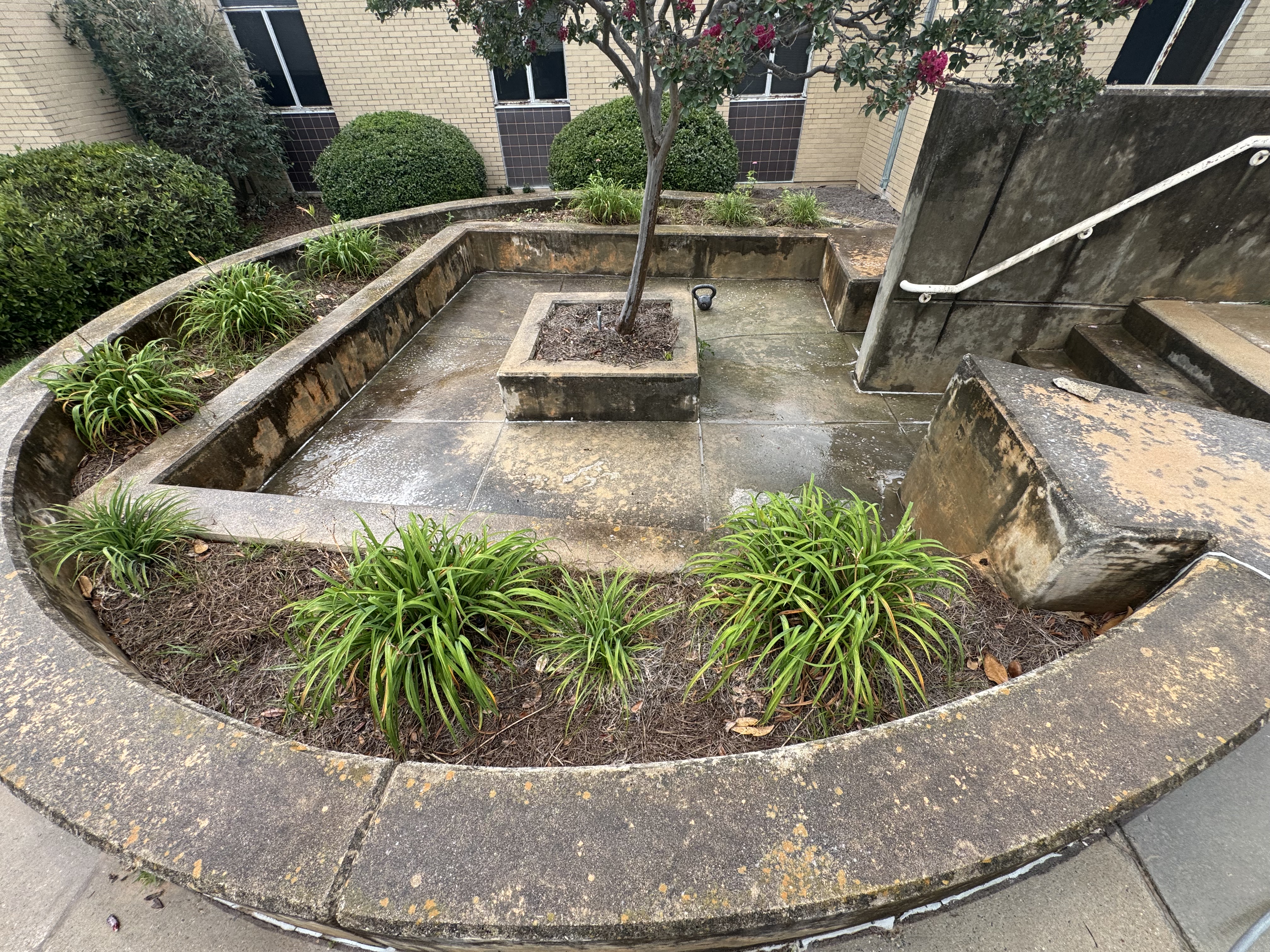 Courtyard Before